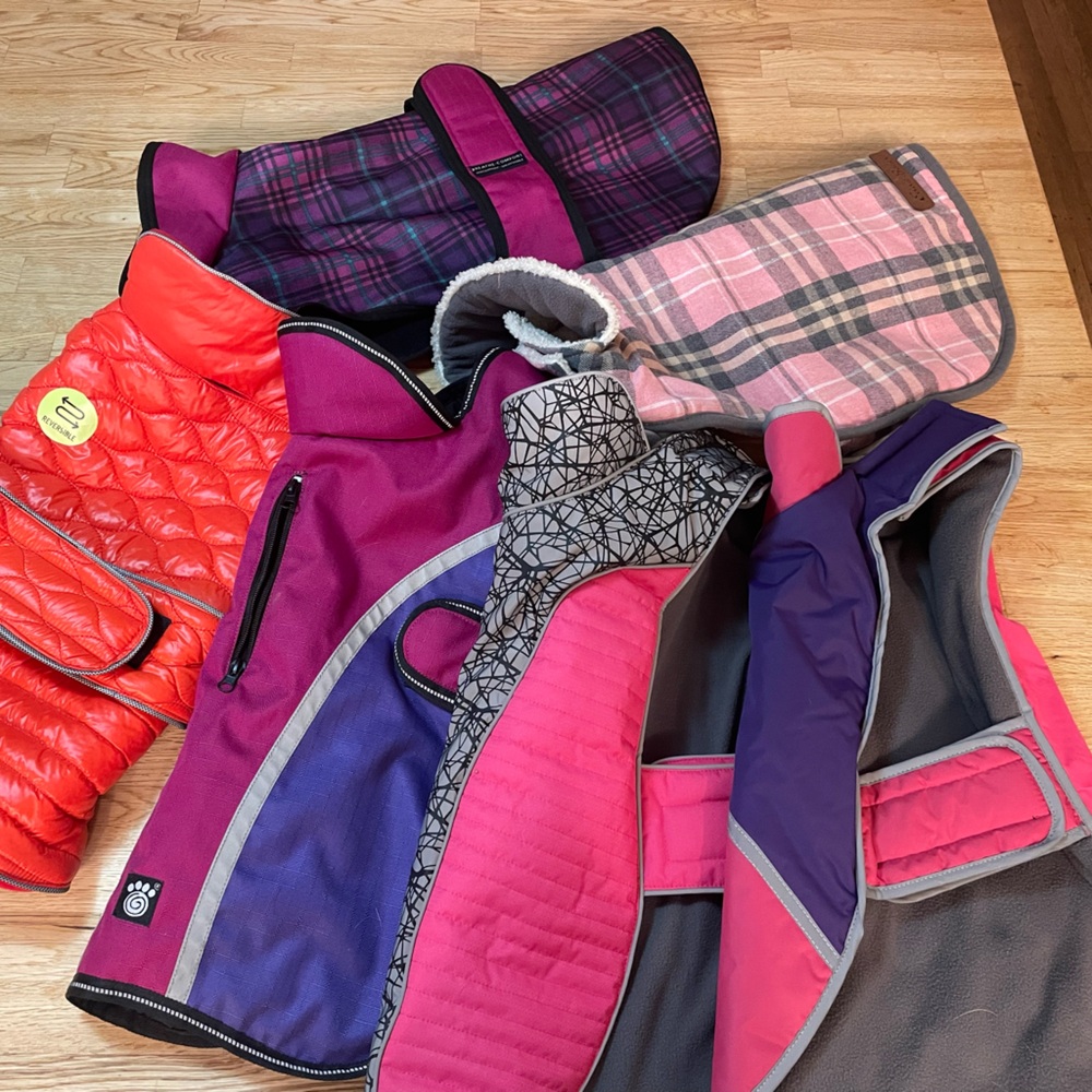 Dog coats